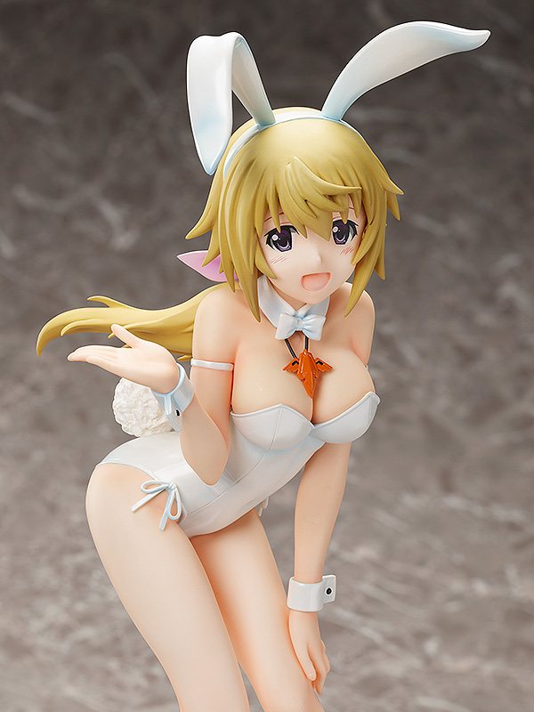  Infinite Stratos: Charlotte Dunois Bareleg Bunny Ver. (36 )