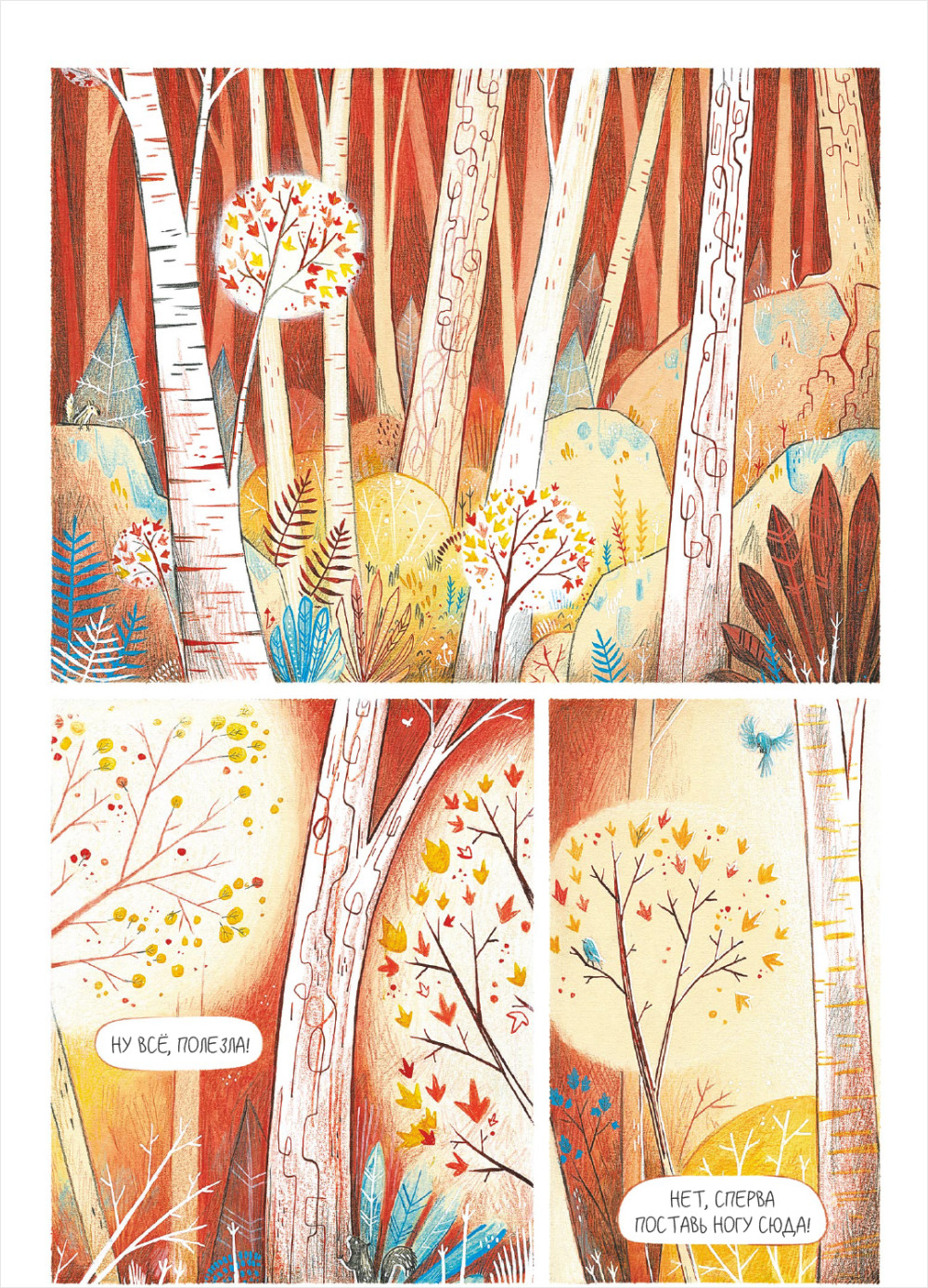 ������ �����: ������ �����������