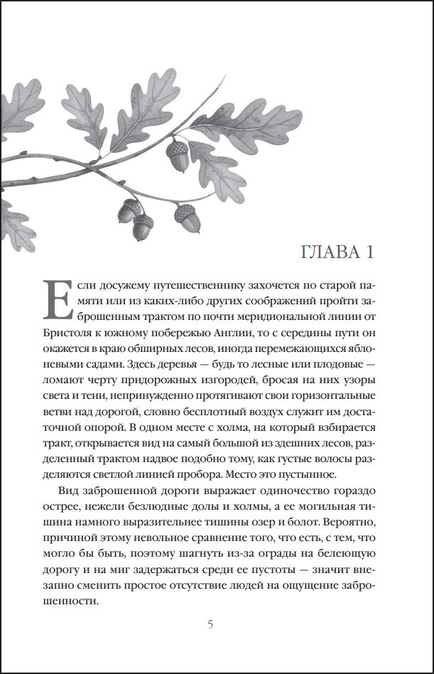 � ���� �����