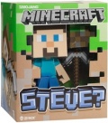  Minecraft Steve (16 )