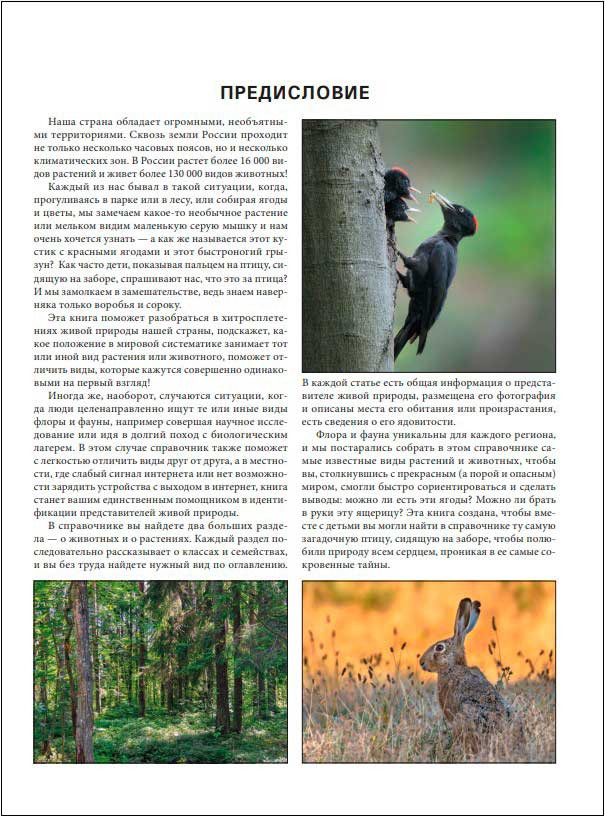 ����� ����� ������� ������: ������ ���������������� ����������