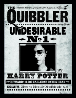    Harry Potter: The Quibbler