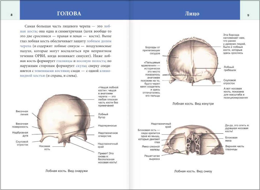 ���������� ������������� ����� �� ������ ������: ����� � �����. ������� � ���������� �����