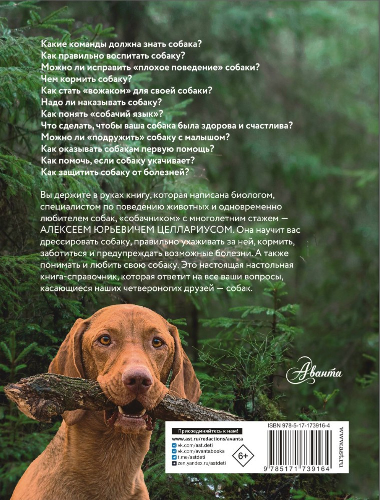 ������: ������ ����������� �� ����������� � �����. ������� 2025