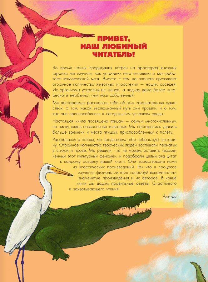 Птицы: Биология / Физиология