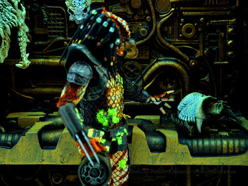 ������� Predators 11 Trophy Wall (28 ��)