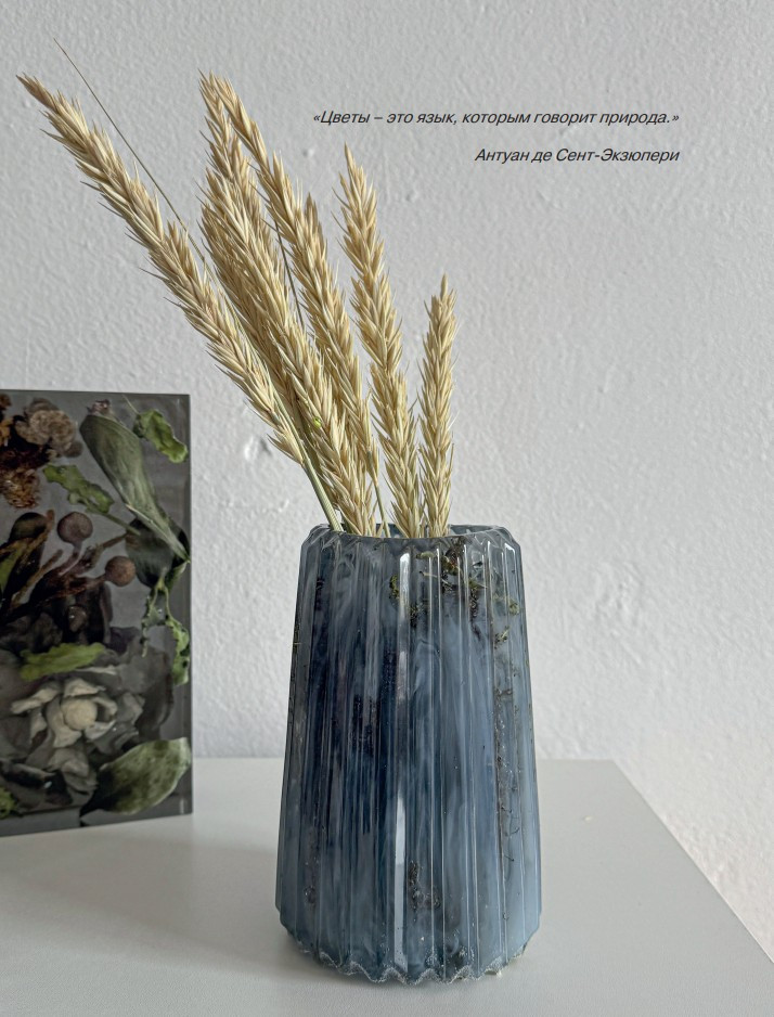 ���������� ���: ����� � ����������, ������, ������