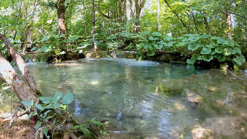  3D.     (Blu-ray 3D + 2D)