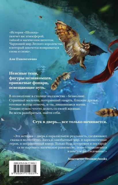 Шолох: Теневые блики. Книга 1