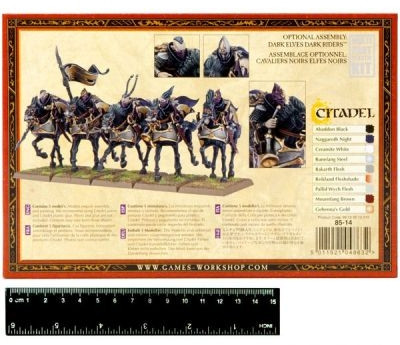   Warhammer 40,000. Dark Elf Doomfire Warlocks