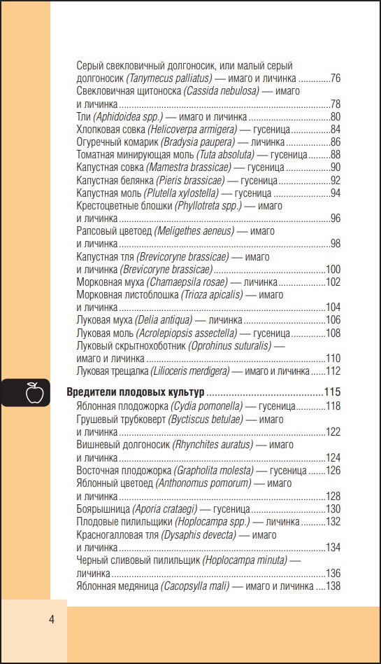 ��������� ���� � �������: ��������� �����-������������