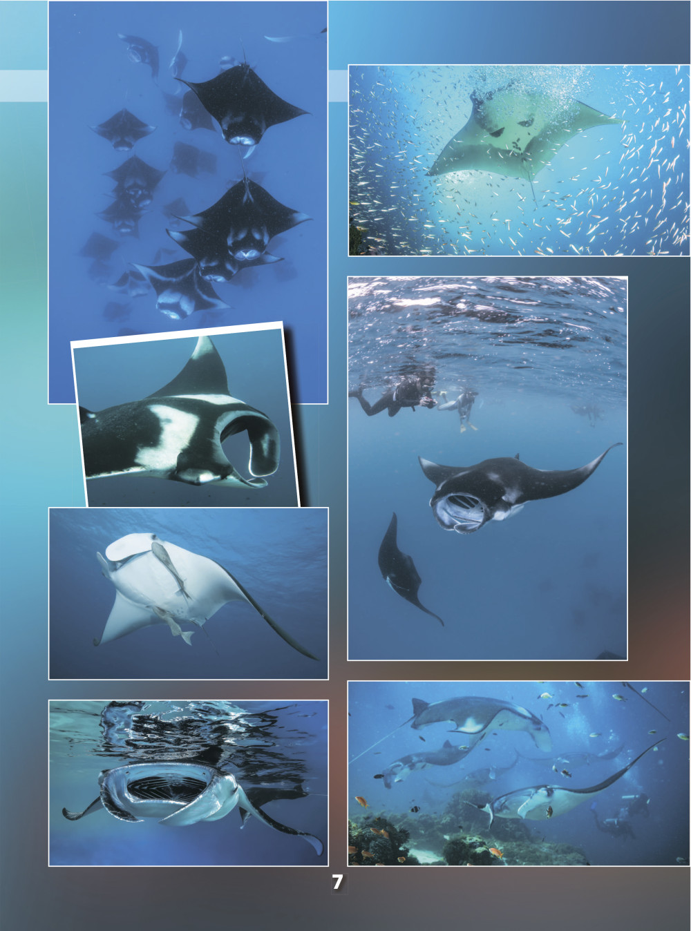 ��������� ���. 101 ����� � 1001 ����������