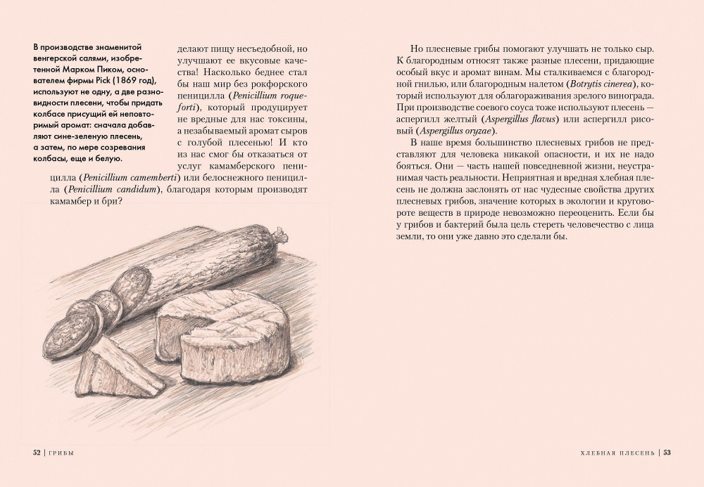 �����: ��������� �������� ����