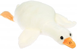 ������ ������� �������-��������� ���� (45 ��)