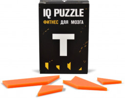 IQ Puzzle  