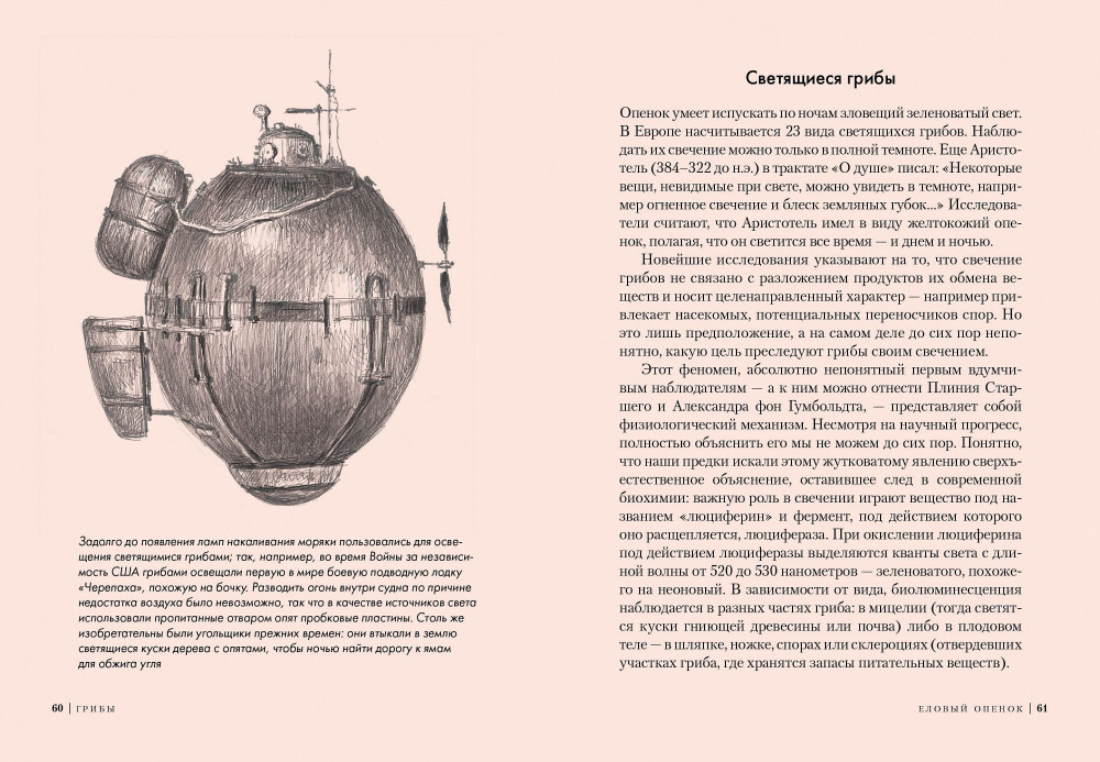 �����: ��������� �������� ����