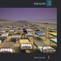 Pink Floyd  A Momentary Lapse Of Reason [180 Gram] (LP)