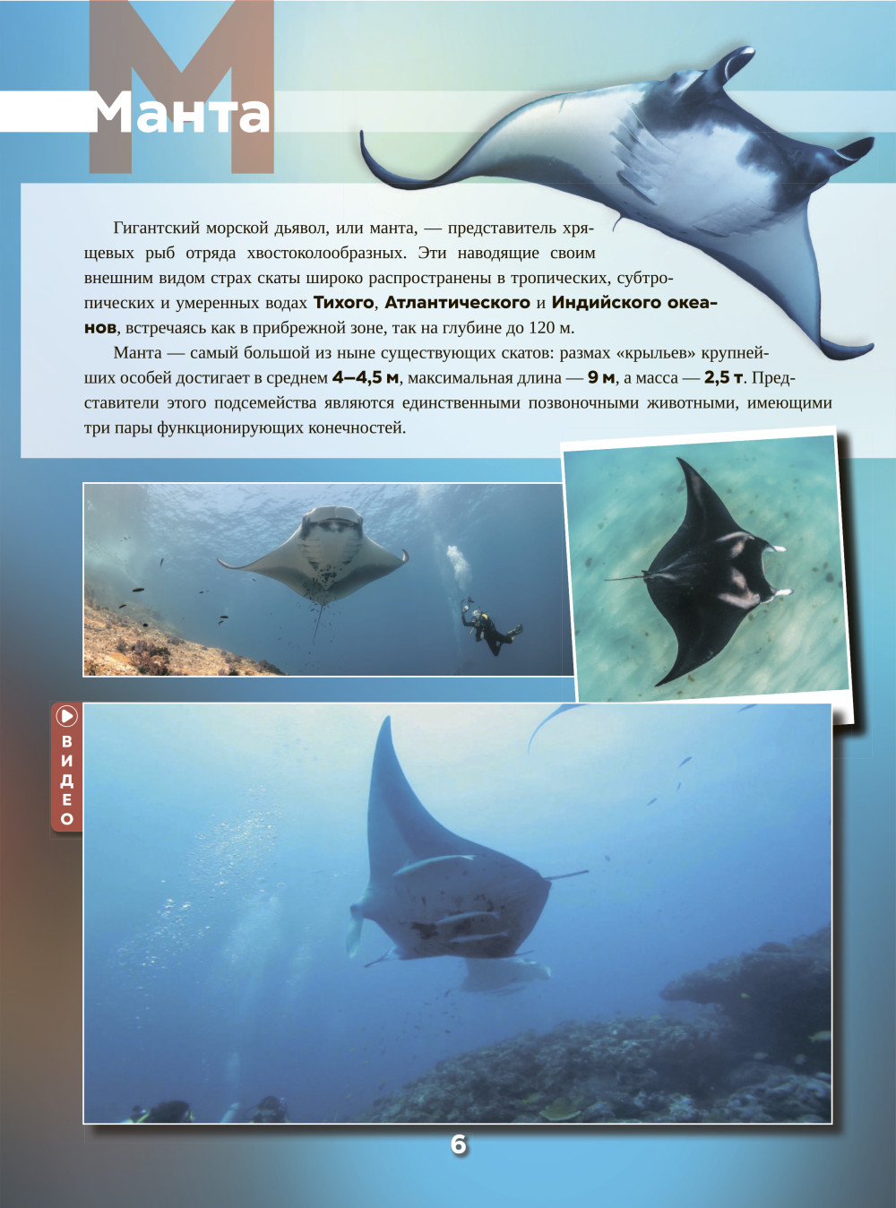 ��������� ���. 101 ����� � 1001 ����������