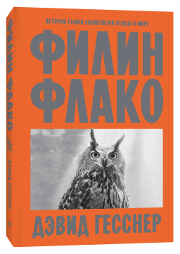 ����� �����: ������� ����� ���������� ����� � ����