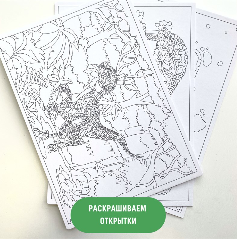 ���������� ���� ���������� � �������������: ����������� � ����������