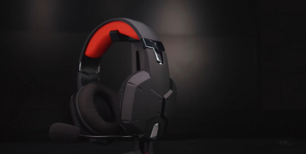  Trust GXT 310 Radius Gaming Headset    PC ()