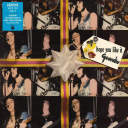 Geordie  Hope You Like It. Silver Vinyl (LP)