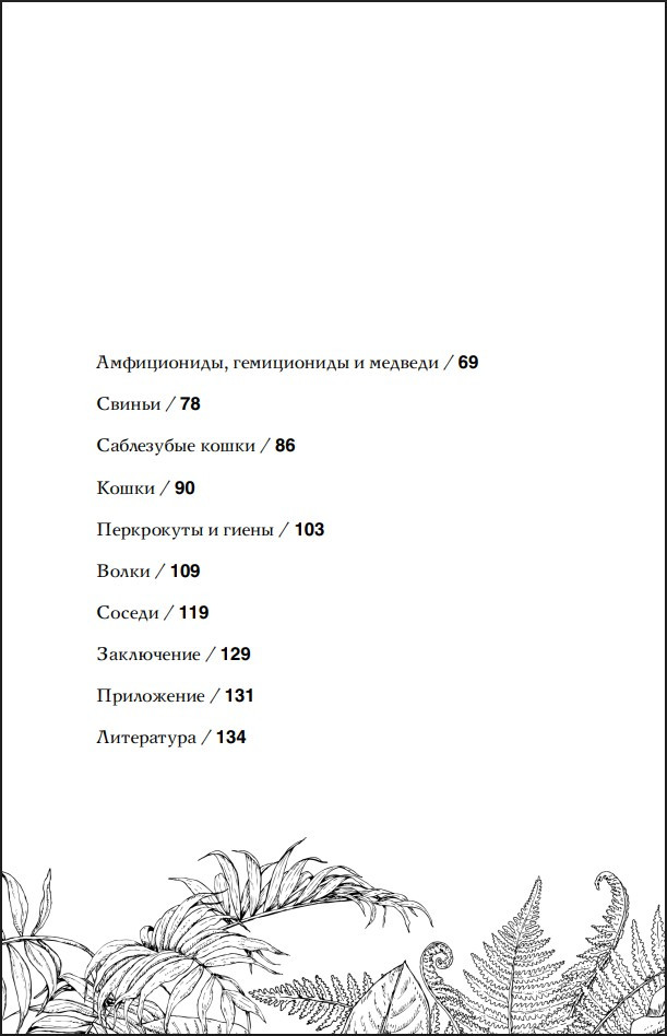 ������ �����: ���������, �������������, ������������� � ������ �������