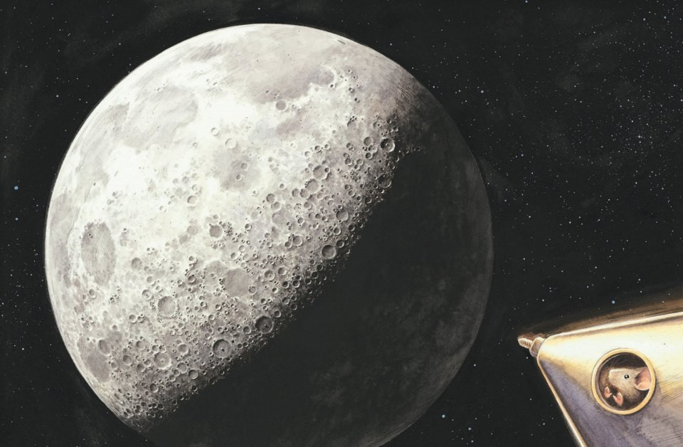 ���������: ����������� ����������� ������� �� ����