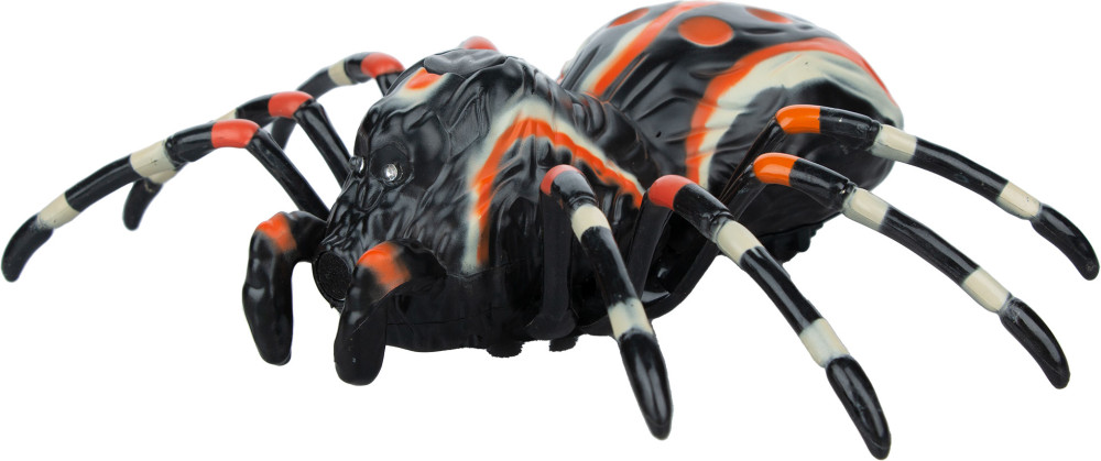 ������� ���� �� ���������� ����������