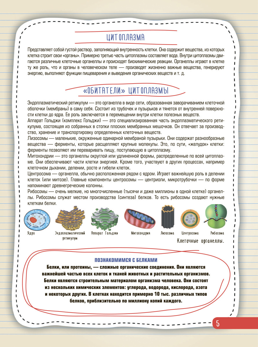 ����� �������� ��������