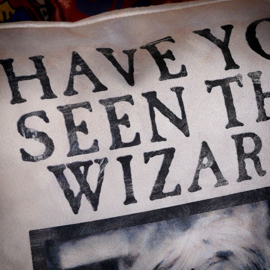  Harry Potter: Have You Seen This Wizard