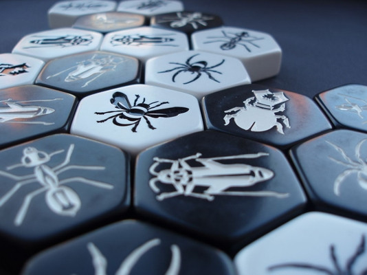 ���������� ���� ���� ������