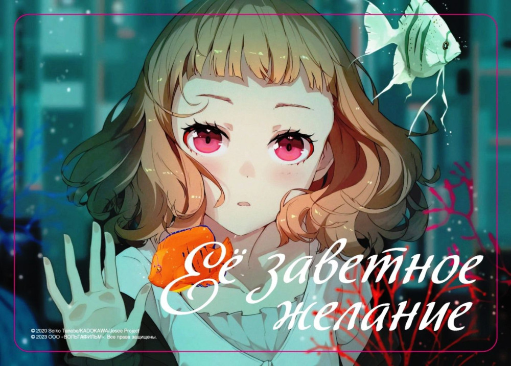    (Blu-ray)