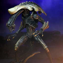  NECA Scale Action Figure: Alien Vs Predator  Chrysalis Alien Movie Deco  (17 )