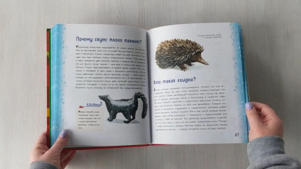    ,          