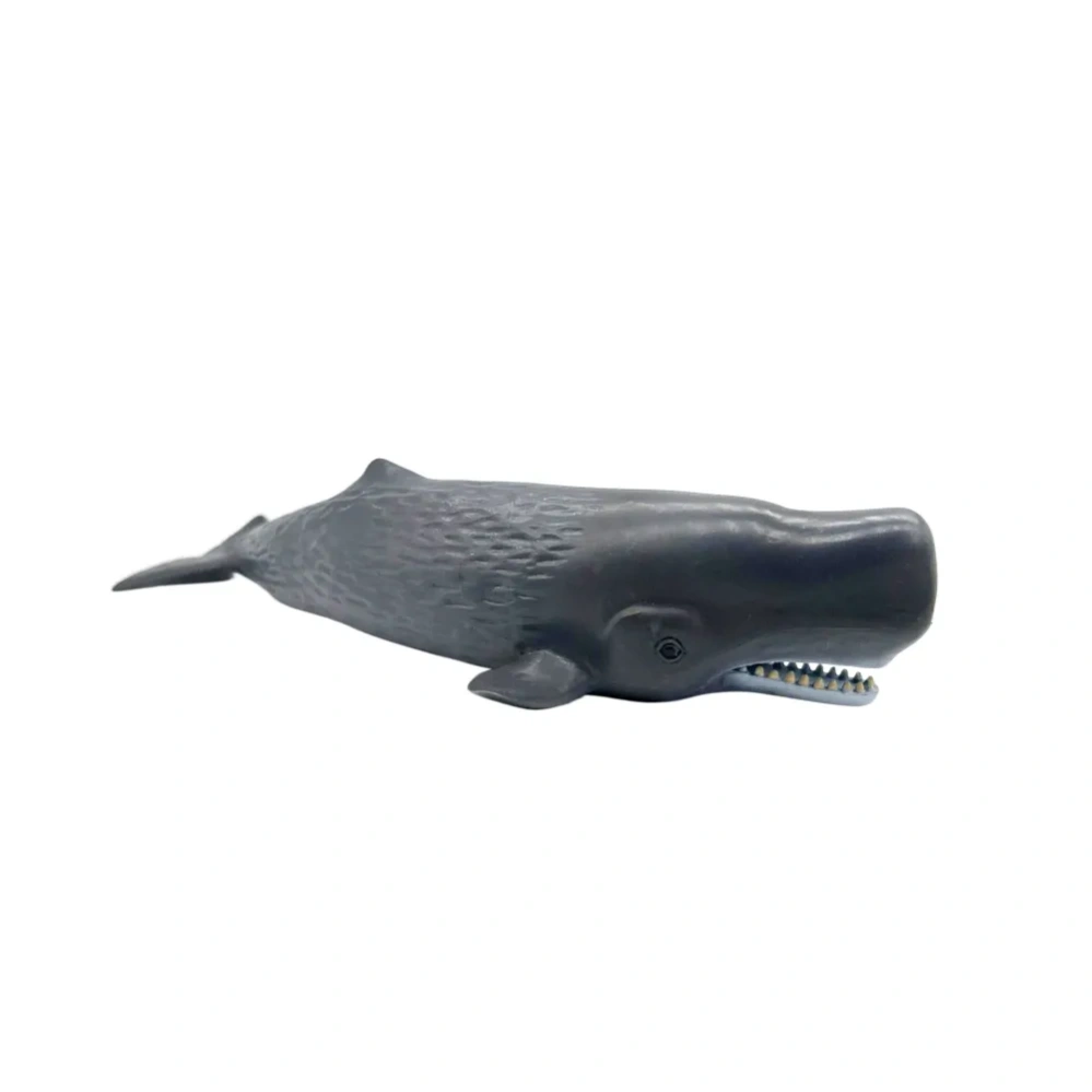 ������� ������� �����: ������� (����� / �����) (M6003)