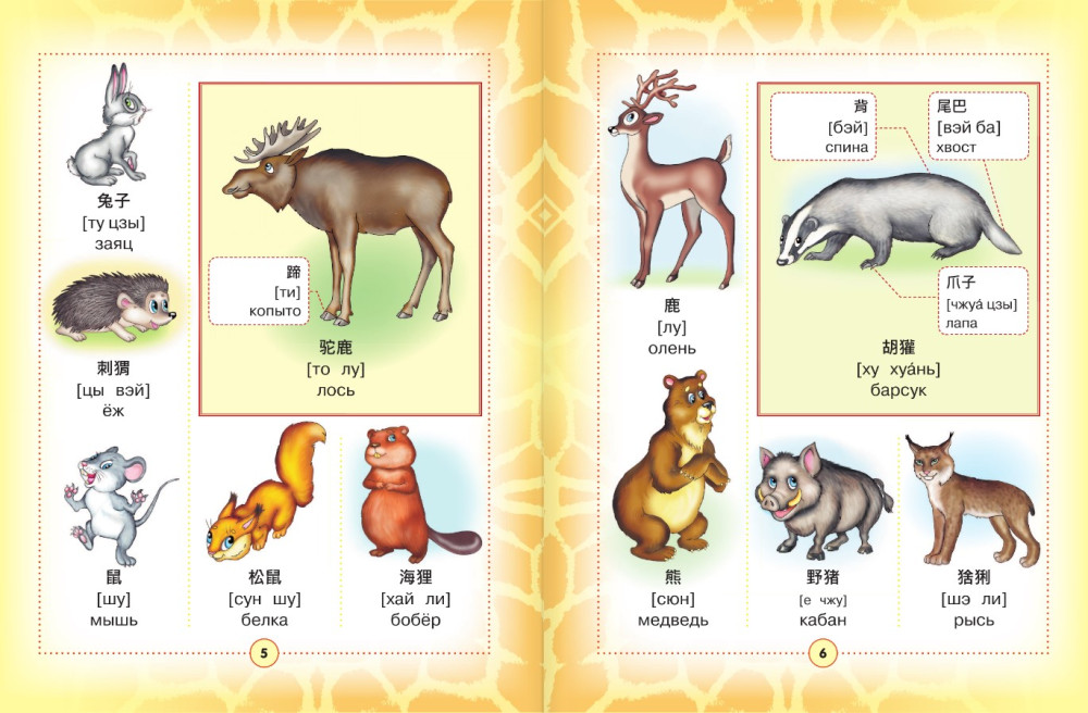 ��������-������� ���������� ������� ��� �����