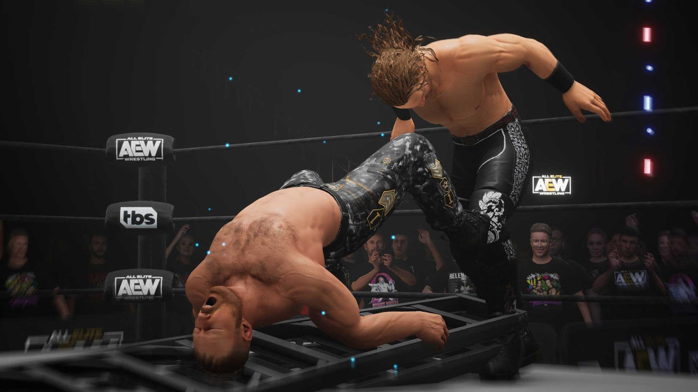 AEW: Fight Forever. Elite Edition [PC,  ]