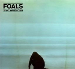 Foals  What Went Down (LP)