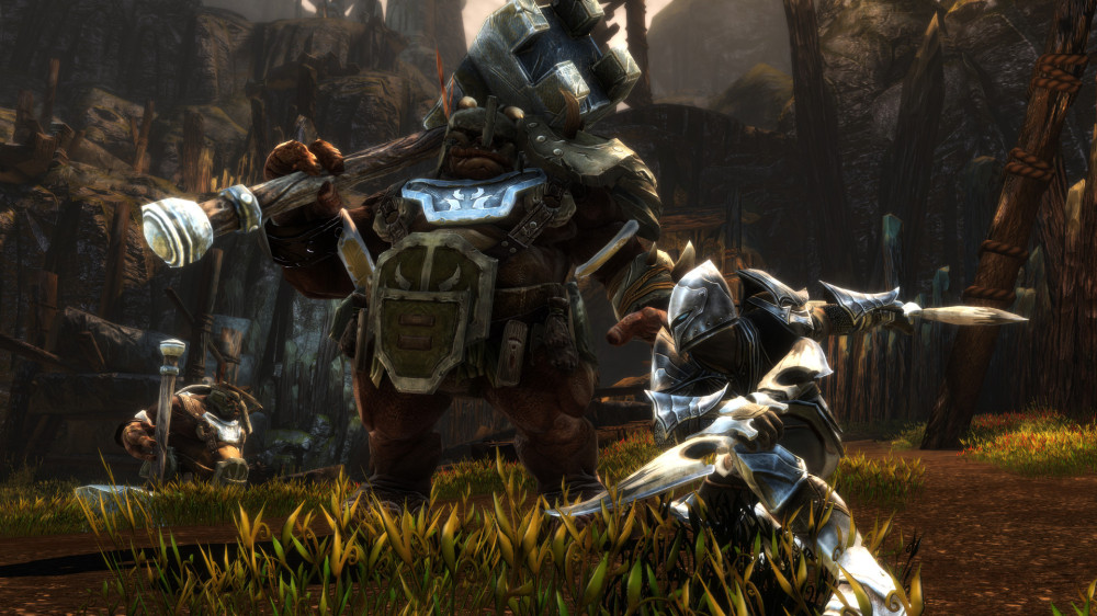 Kingdoms of Amalur: Re-Reckoning. Fatesworn.  [PC,  ]