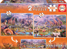Puzzle   (2100 )