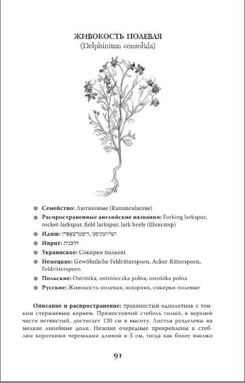 �������� ����� ��������: ������� �������� ������� ���������