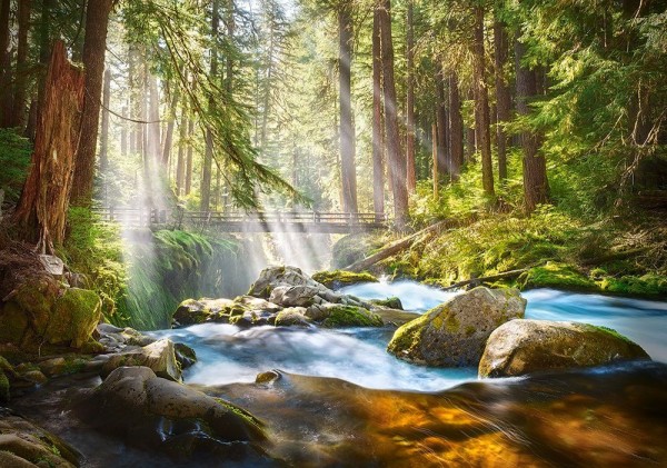 Puzzle-500: Лесной ручей (Forest Stream of Light)