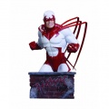  Heroes Of The DC Universe Hawk Bust (15 )