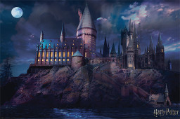  Harry Potter: Hogwarts (176)