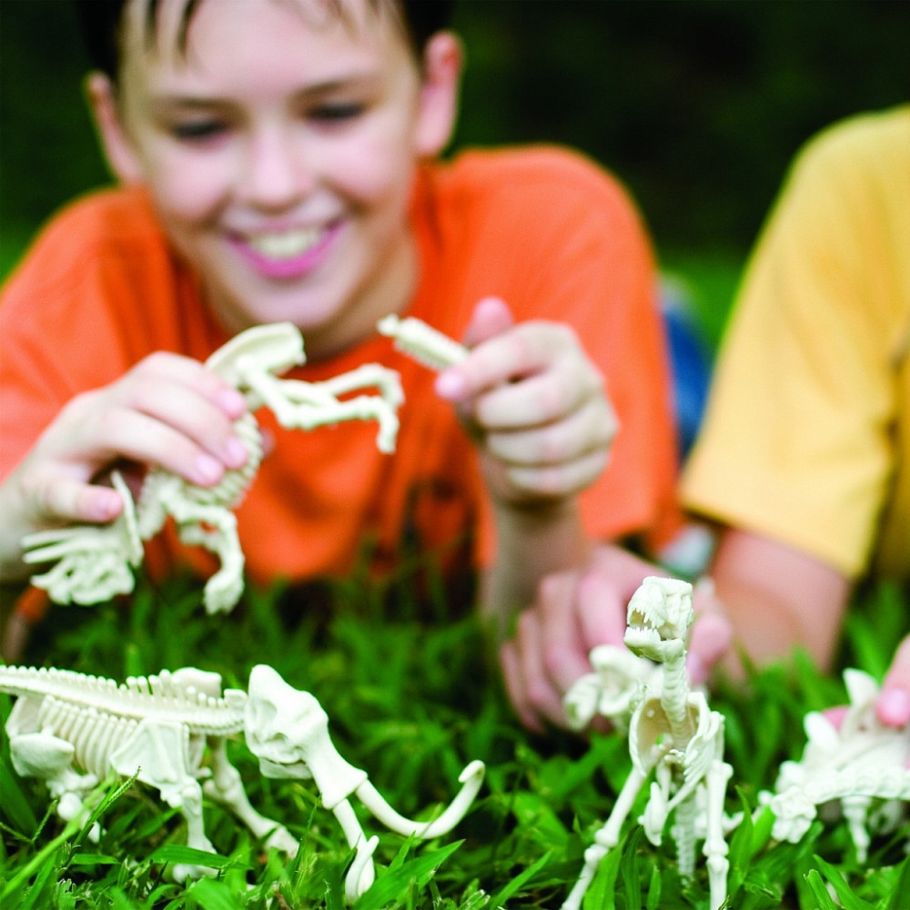 ������� ����� ��� ����������: �������� ������ &ndash; ������������