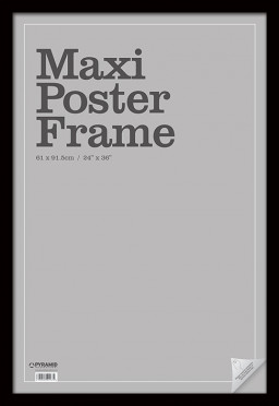 Maxi Poster Frame (׸) (6191.5 )