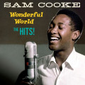 Sam Cooke � Wonderful World (The Hits) [Crystal Clear Vinyl] (LP)