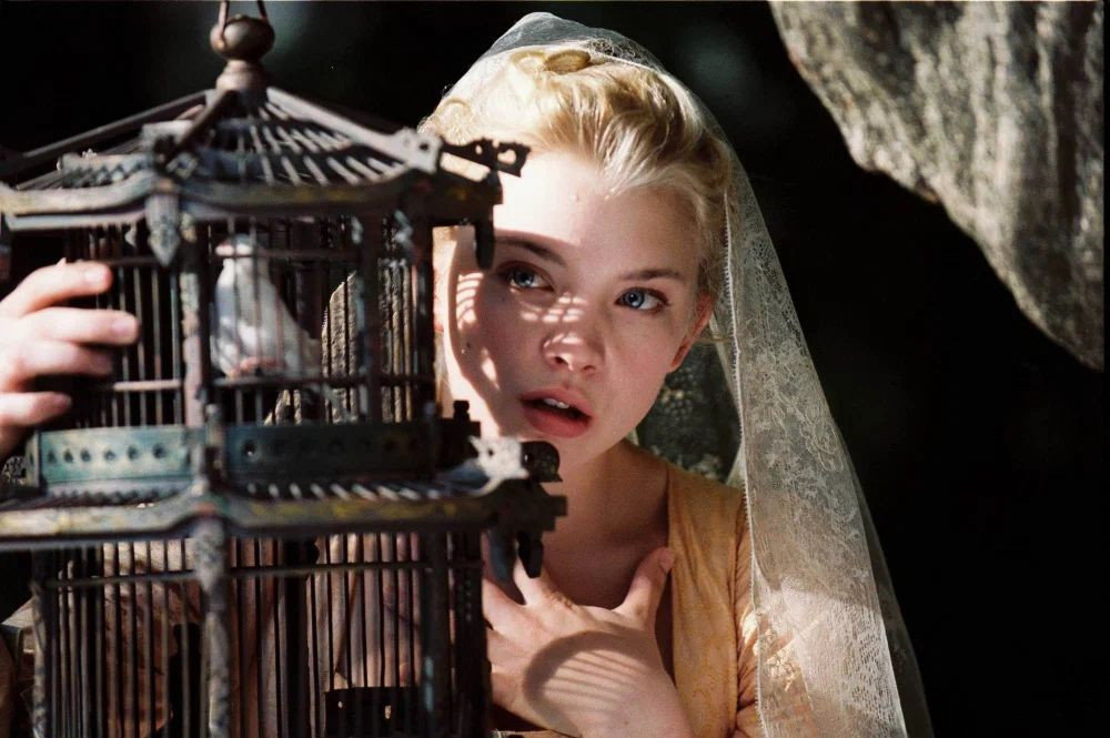 �������� (DVD)