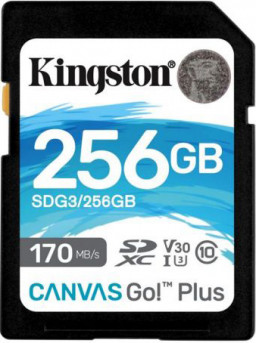   Kingston SDXC 256Gb (SDG3/256GB)